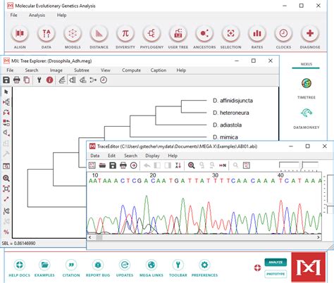 mega 10 software free download.